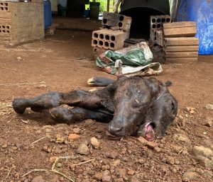 WhatsApp Image 2022-03-30 at 15.21.40