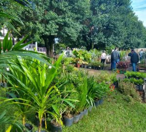 WhatsApp Image 2022-06-07 at 09.48.03