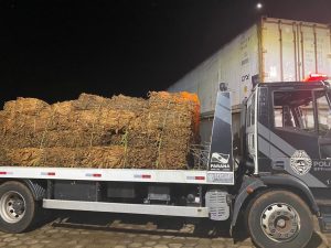 WhatsApp Image 2023-03-30 at 10.06.23