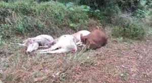 WhatsApp Image 2023-06-13 at 14.29.29