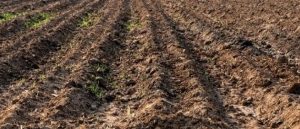 WhatsApp Image 2023-07-05 at 14.13.46