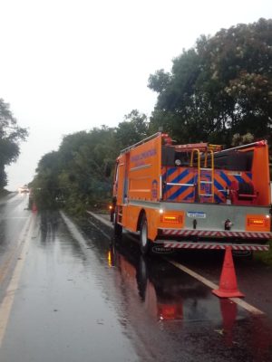 WhatsApp Image 2024-03-21 at 11.27.47