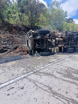 WhatsApp Image 2024-11-08 at 14.51.30 (1)