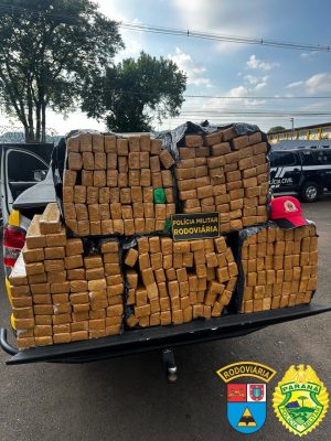 WhatsApp Image 2025-01-22 at 11.16.24