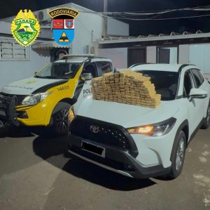 WhatsApp Image 2025-03-07 at 08.57.35