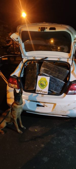 WhatsApp Image 2025-03-28 at 13.19.59