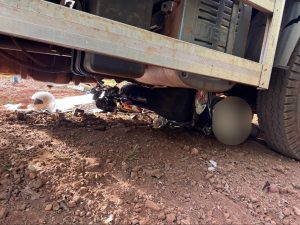 WhatsApp Image 2025-06-13 at 15.28.08