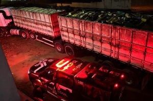 PCPR apreende 630 quilos de cocaína no primeiro semestre, 129% a mais que o mesmo período do ano passado