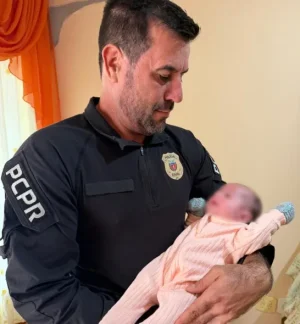 bebe