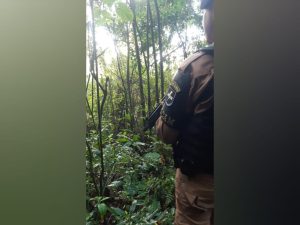 buscas-encerradas-1536x1152