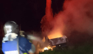 captura-de-tela-2024-07-15-084506