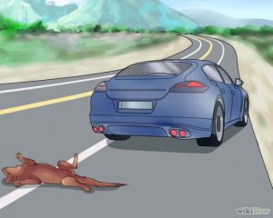 ceSLzDI4g6M0d13pgldrpWlJjCf5oTUUVrJ1Lcvu