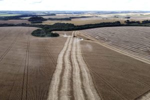 GUARAPUAVA - 08-04-2021- Colheita de soja na região de Guarapuava / Foto Jonathan Campos / AEN