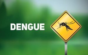 denguwe