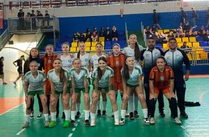 feminino