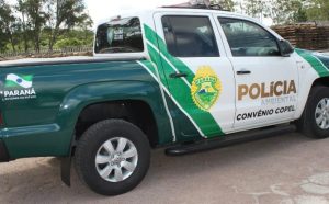 policia-ambiental1