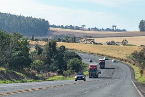 Apucarana, 28 de agosto de 2025 - PR 444.