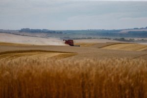 psx_20211116_182711_1