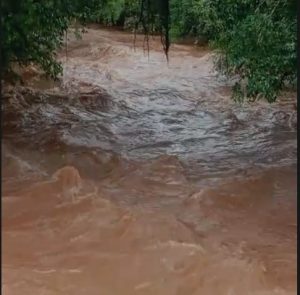 rio ampére