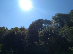 sol-calor (1)
