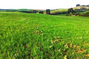 whatsapp_image_2023-08-03_at_17.19.08