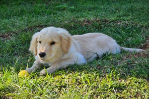 whatsapp_image_2025-06-24_at_11.28.25