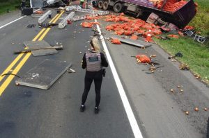 whatsapp_image_2025-12-16_at_11.54.03