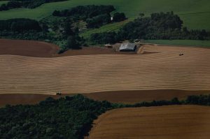 whatsapp_image_2026-03-25_at_16.44.26_2